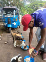 💙 Meals on 3 wheels  🛺 Feed 150 cats a tasty meal 🐈 - Gift e-Card 💙