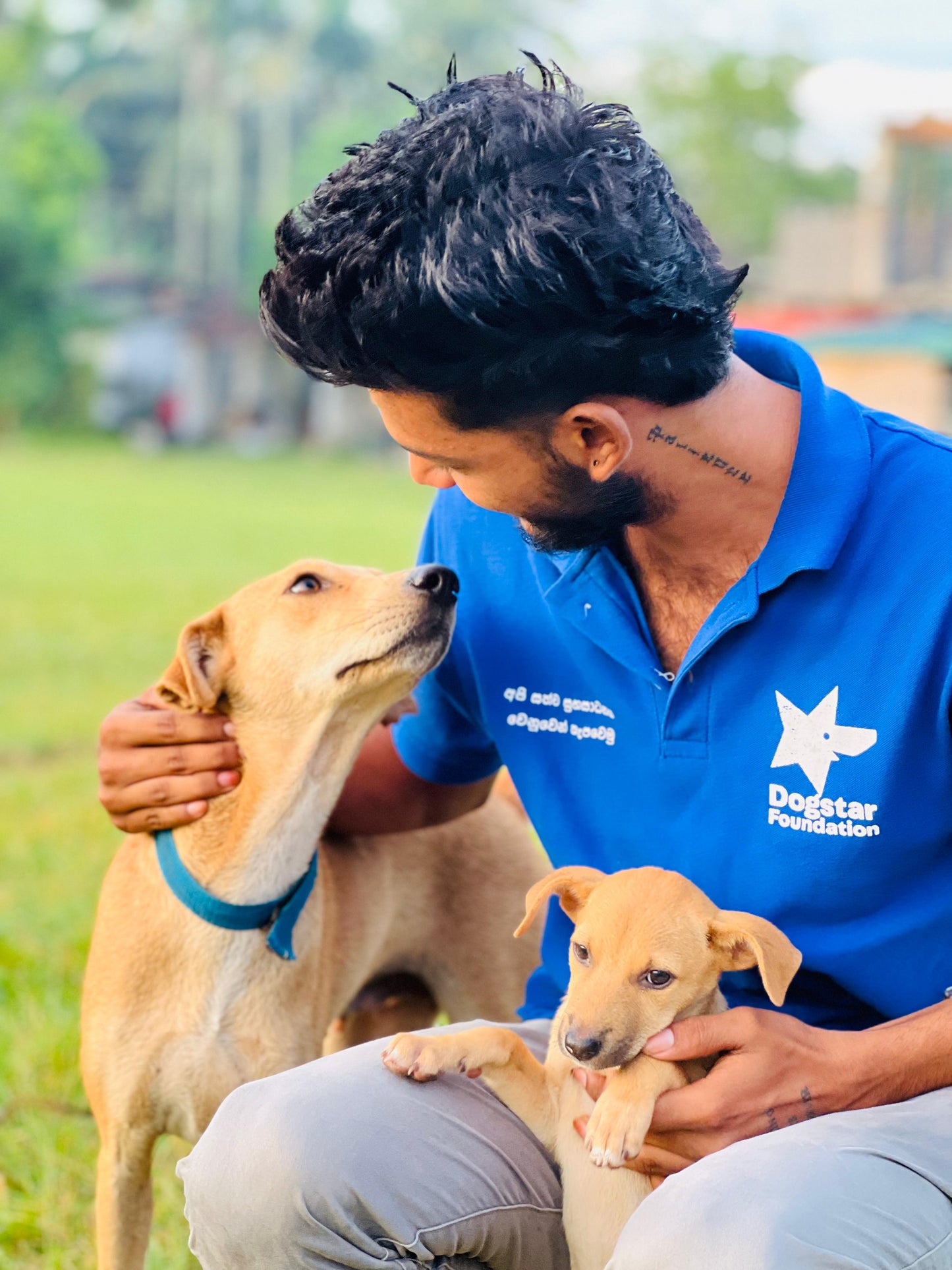 Virtual Gift - Rabies Vaccine for a Sri Lankan Street Dog