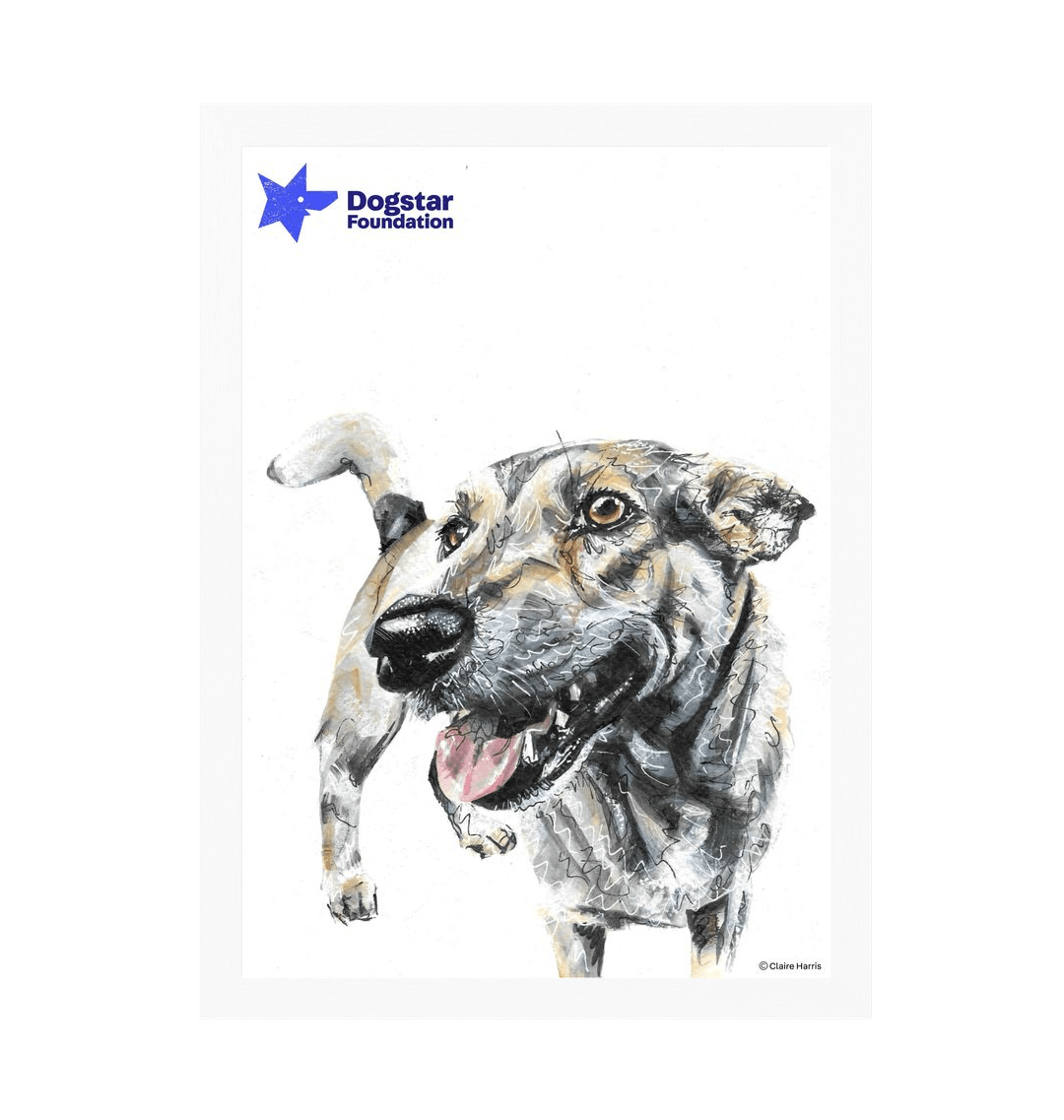 White Frame Framed art print Front