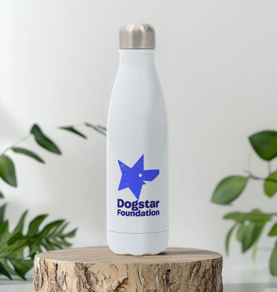 Dogstar Logo Stainless Steel Bottle