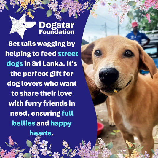 Virtual Mother's Day Gift - Feed Sri Lankan Street Dogs