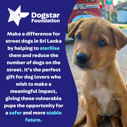 Virtual Gift - Sterilise a Sri Lankan Street Dog