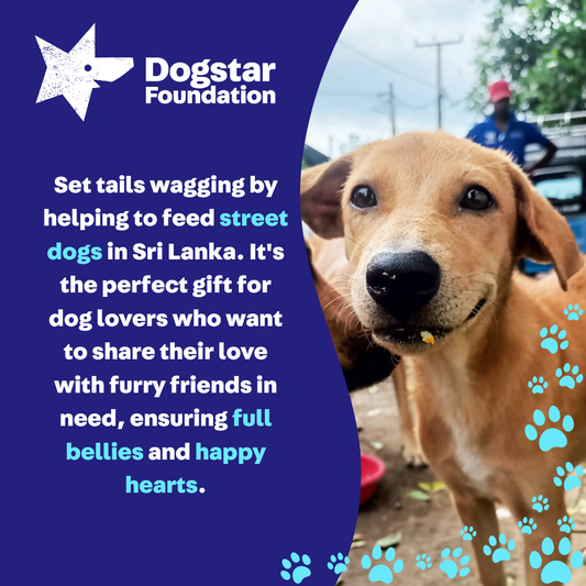 Virtual Father's Day Gift - Feed Sri Lankan Street Dogs