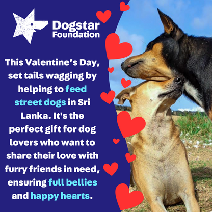 Virtual Valentine's Day Gift - Feed Sri Lankan Street Dogs