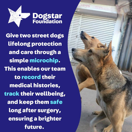 Virtual Gift - Microchip Two Dogs