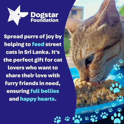 Virtual Father's Day Gift - Feed Sri Lankan Street Cats