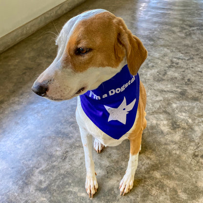 Dog Bandana (Medium)