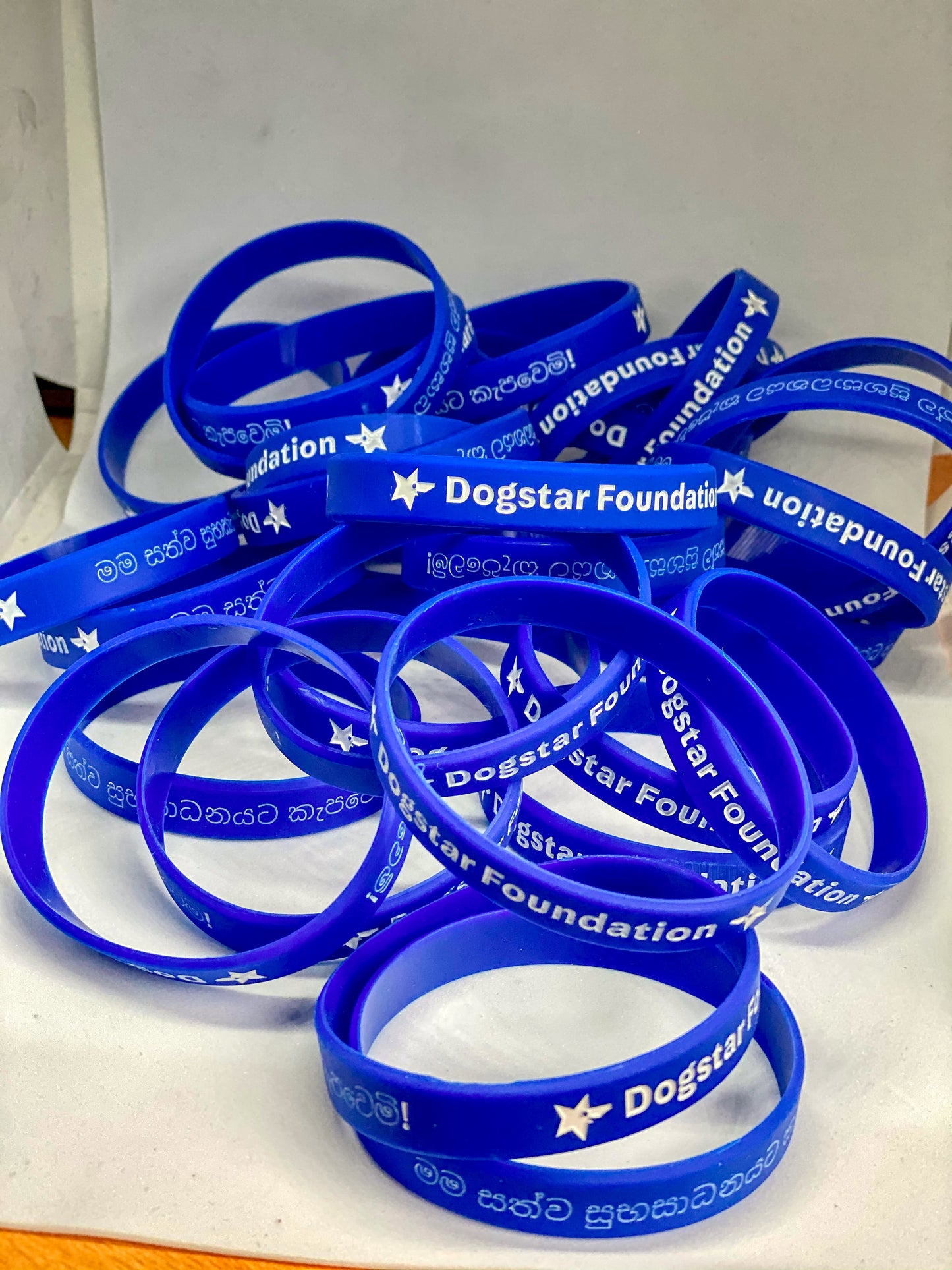 Dogstar Foundation Official Wristband