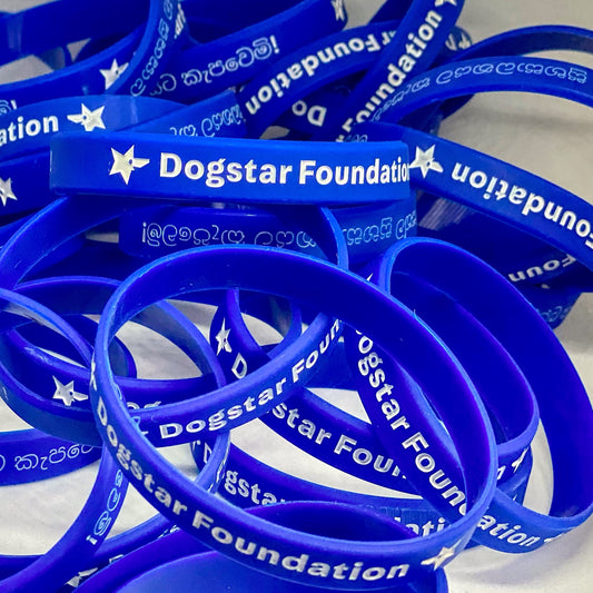 Dogstar Foundation Official Wristband