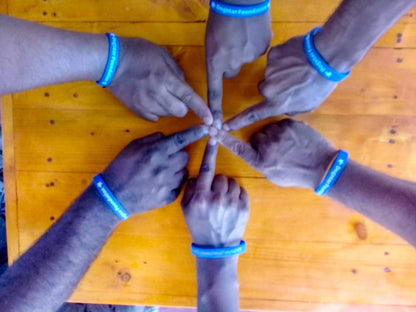 Dogstar Foundation Official Wristband